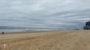 Avalon [ xfaeryprincessx ] Onlyfans leaked video 6470674 on Hotleaks.tv