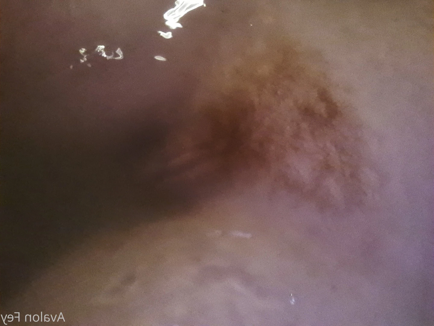 Avalon [ xfaeryprincessx ] Onlyfans leaked photo 6802062 on Hotleaks.tv
