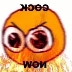 6650048