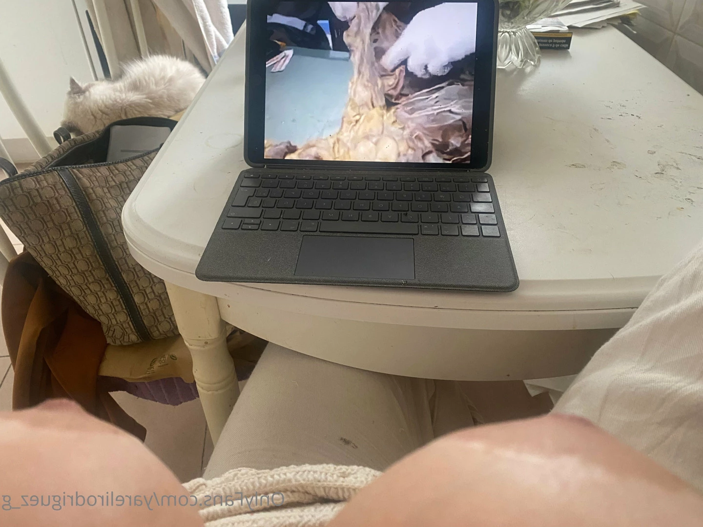 Yareli Rodriguez [ yarelirodriguez_g ] Onlyfans leaked photo 6772823 on Hotleaks.tv