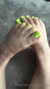 18245814