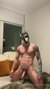 yesbrawn Onlyfans leaked video 10537906 on Hotleaks.tv