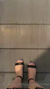 15367354
