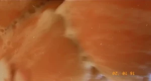 Larissa Nadia [ larissanadia ] Onlyfans leaked video 1617758 on Hotleaks.tv