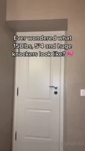 18245521