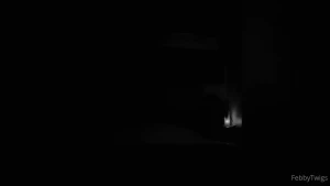 Febby Twigs [ febbytwigs ] Onlyfans leaked video 10905916 on Hotleaks.tv