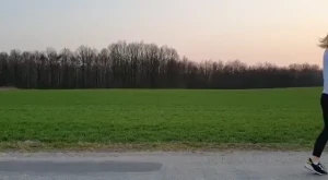 18245471