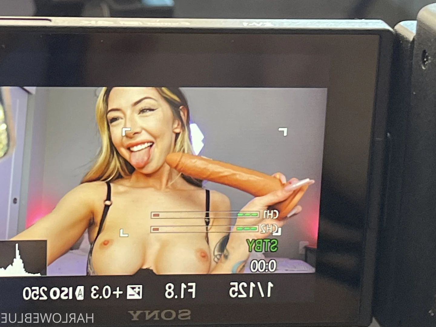 🍒HARLOWE🍒 [ harloweblue ] Onlyfans leaked photo 7816065 on Hotleaks.tv
