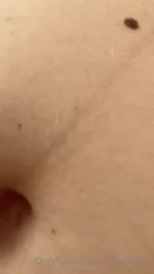 18245403