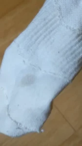 18245159