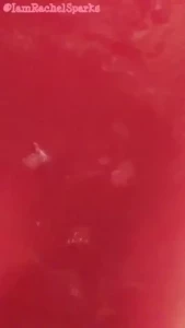 18245194