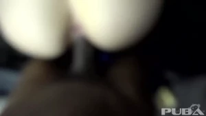 18243932