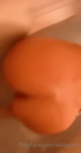 18242952