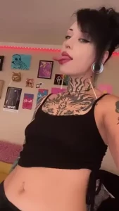 18242505