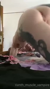 18241657