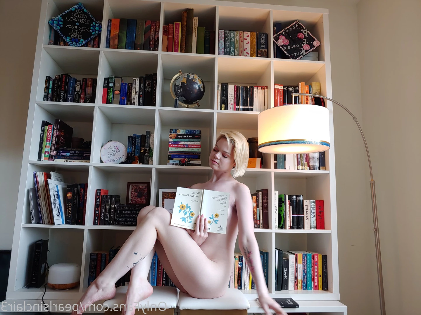 Knox Sinclair [ knox_sinclair ] Onlyfans leaked photo 7854192 on Hotleaks.tv