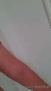 18241550
