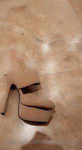 8555578