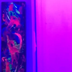Aedan Rayne [ aedanraynevip ] Onlyfans leaked video 8552082 on Hotleaks.tv