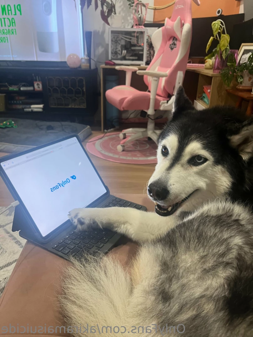 Akiramai 😋 [ akiramaisuicide ] Onlyfans leaked photo 14454170 on Hotleaks.tv