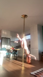 15129146