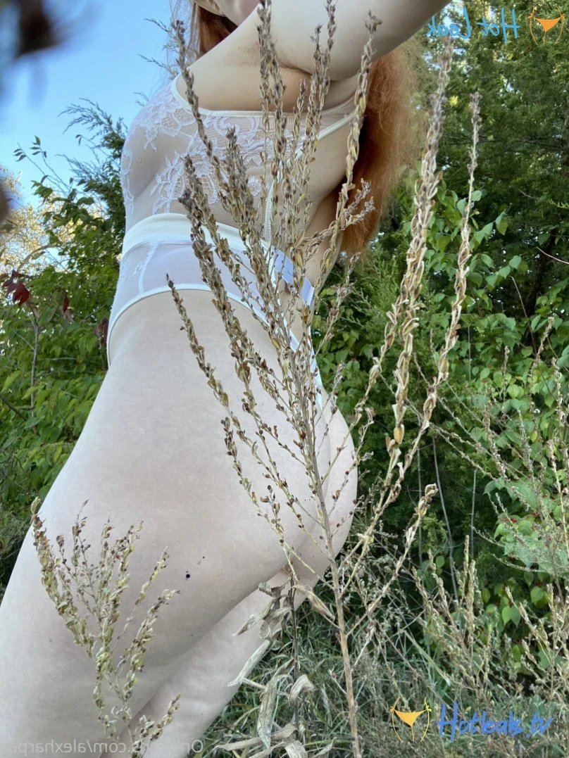 Alex Harper [ alexharper ] Onlyfans leaked photo 12180496 on Hotleaks.tv