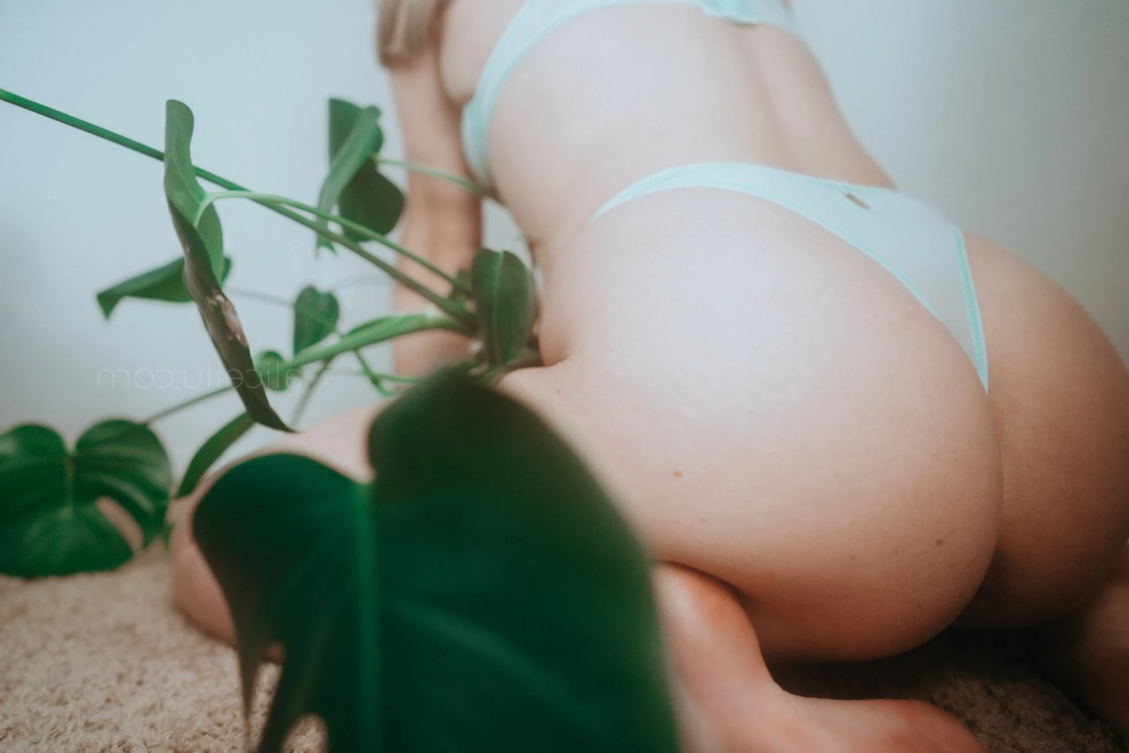 Alice [ alicemoss ] Onlyfans leaked photo 15781409 on Hotleaks.tv