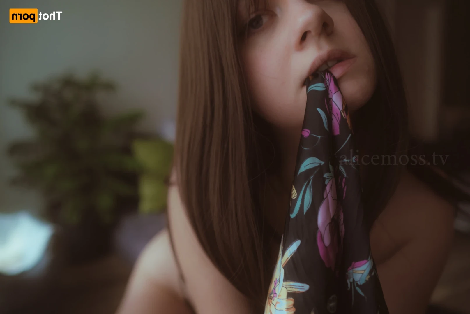 Alice [ alicemoss ] Onlyfans leaked photo 16375317 on Hotleaks.tv