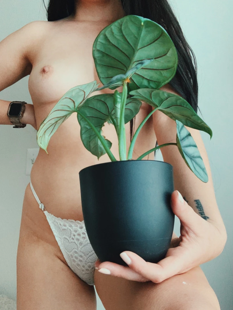 Alice [ alicemoss ] Onlyfans leaked photo 16376779 on Hotleaks.tv