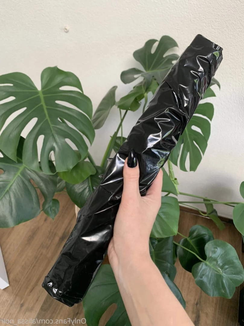 AlissaNoir [ alissa_noir ] Onlyfans leaked photo 16021167 on Hotleaks.tv
