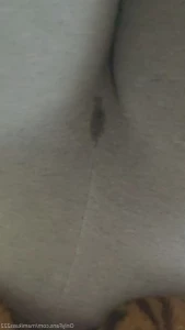 15379872