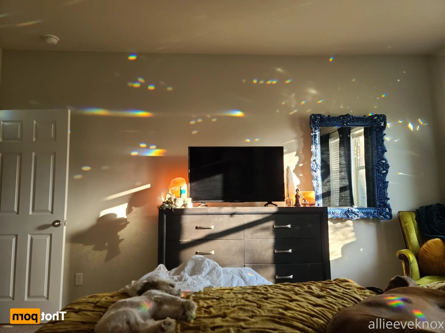 allieeveknox Onlyfans leaked photo 11519730 on Hotleaks.tv