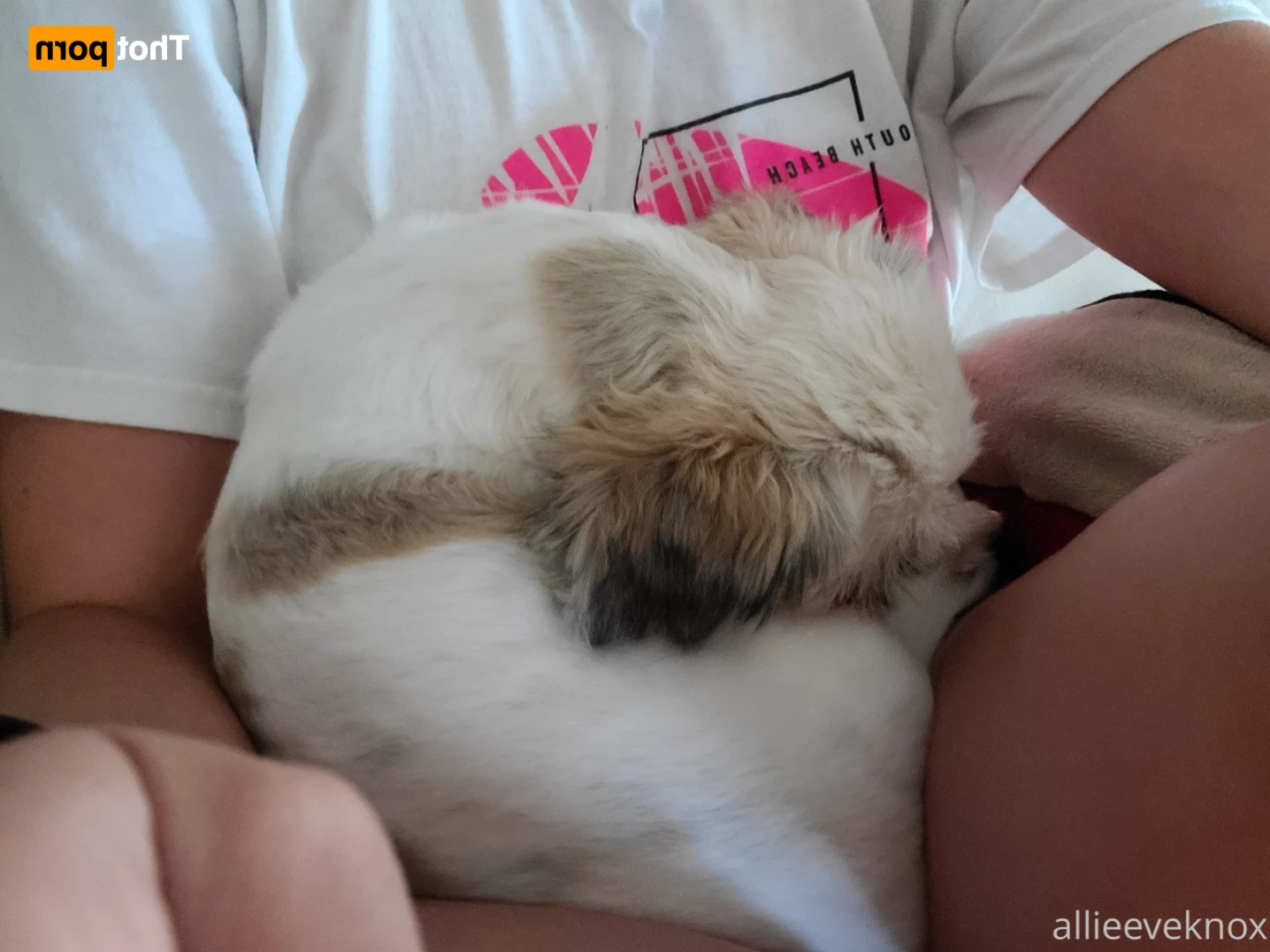 allieeveknox Onlyfans leaked photo 11532168 on Hotleaks.tv