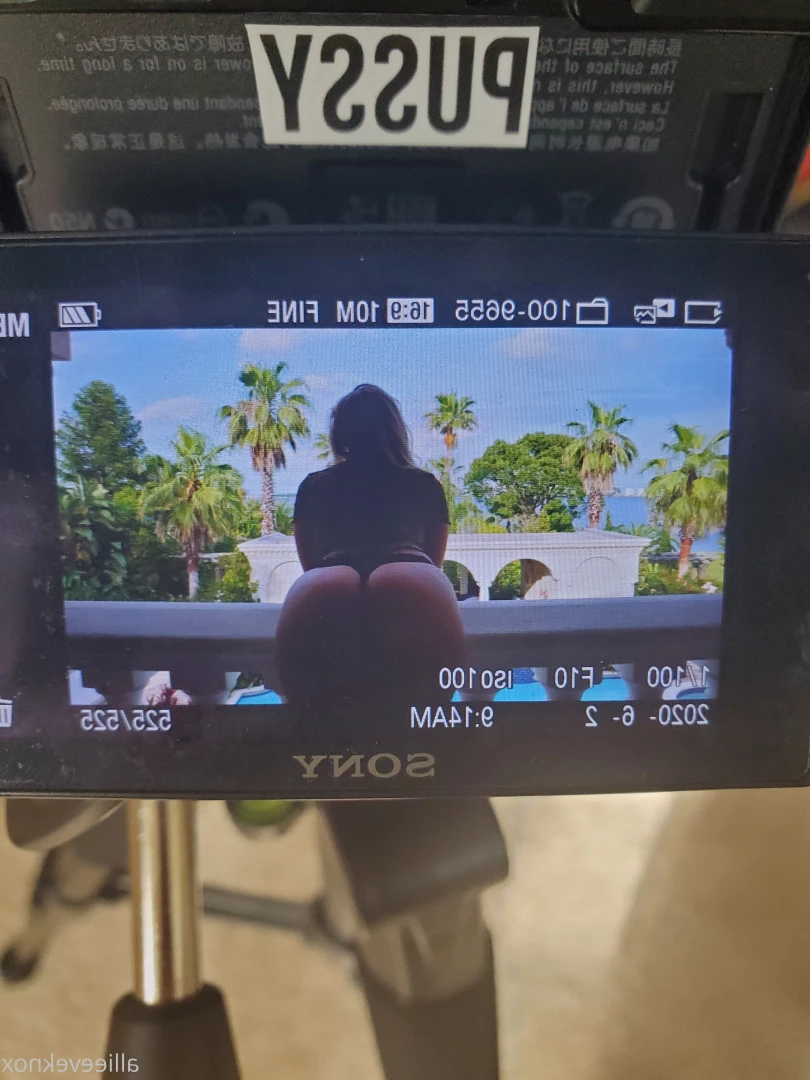 allieeveknox Onlyfans leaked photo 11918738 on Hotleaks.tv
