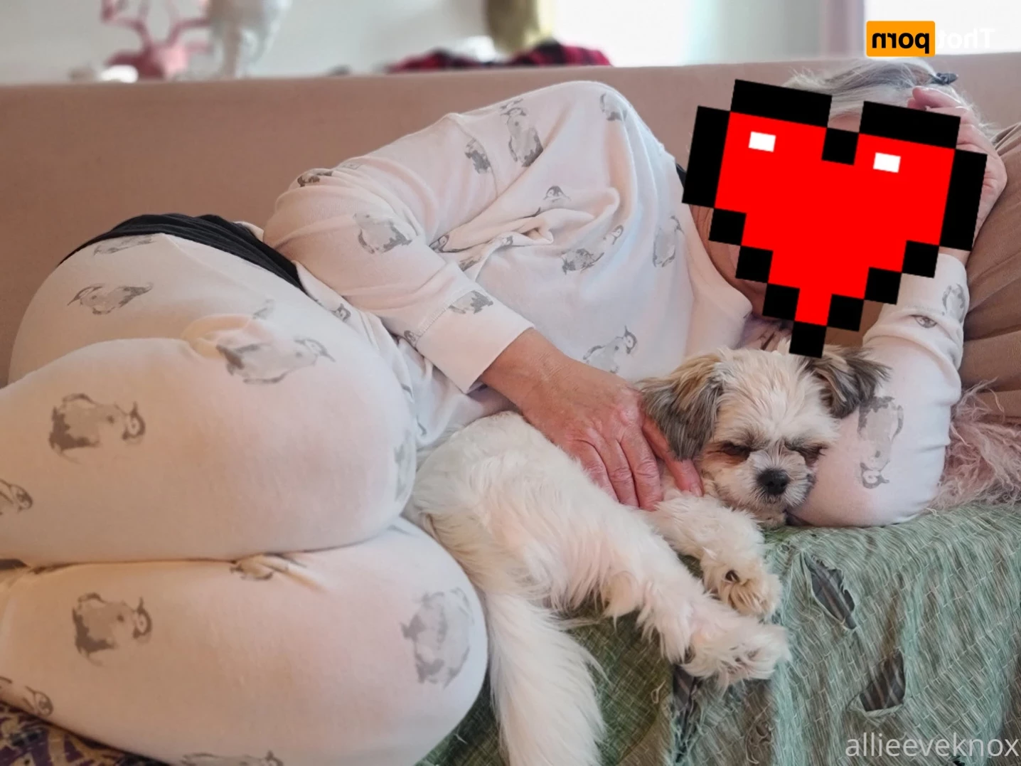 allieeveknox Onlyfans leaked photo 12085472 on Hotleaks.tv