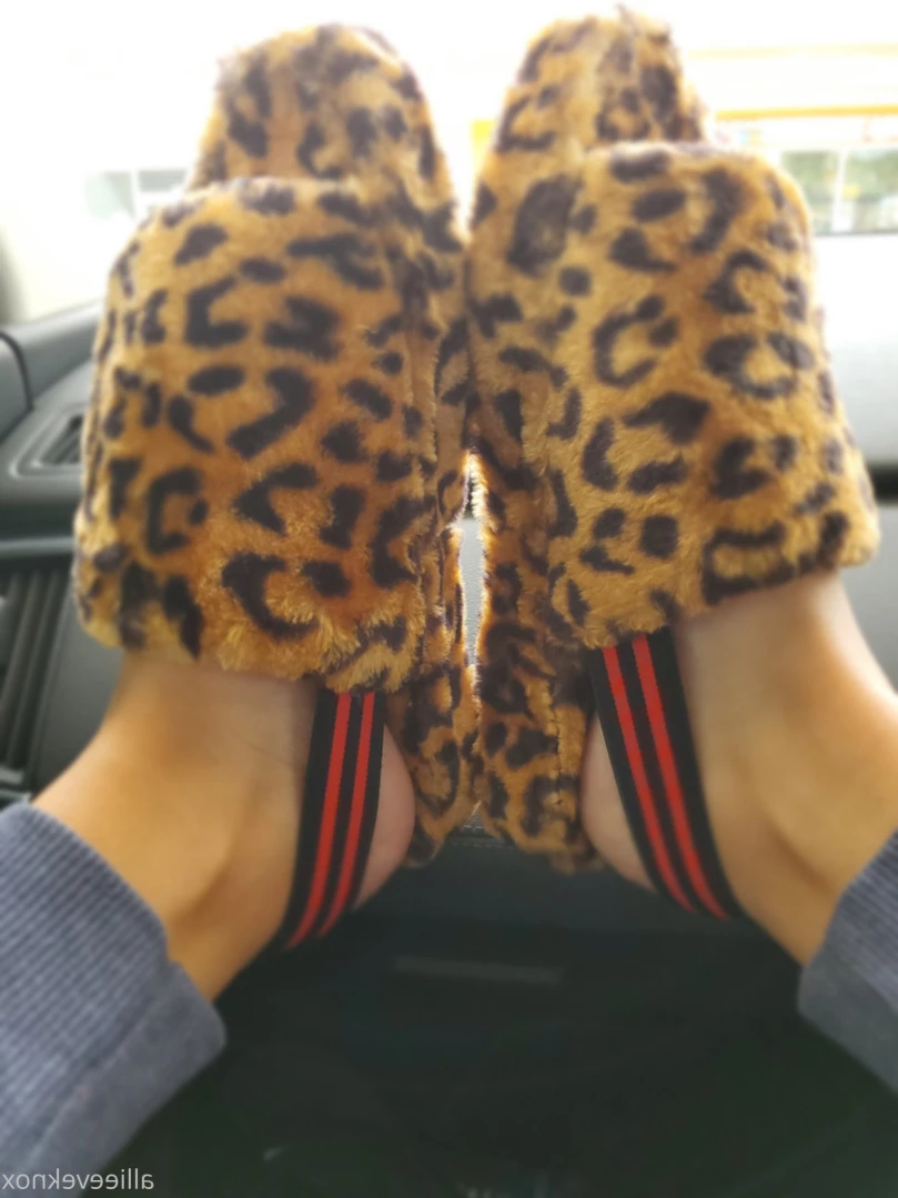 allieeveknox Onlyfans leaked photo 12169690 on Hotleaks.tv