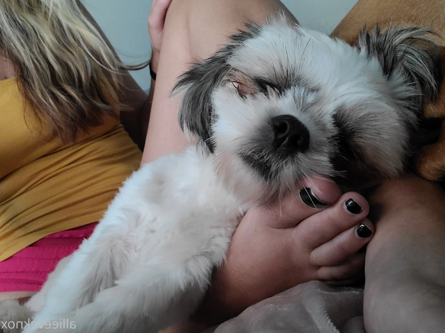 allieeveknox Onlyfans leaked photo 12683458 on Hotleaks.tv