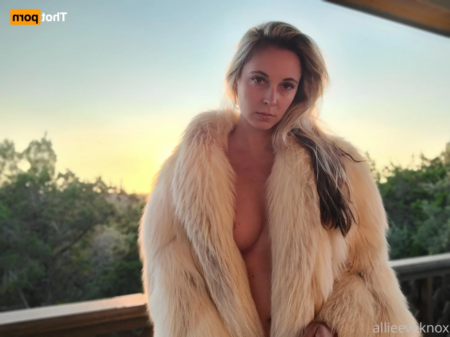 allieeveknox Onlyfans leaked photo 13237520 on Hotleaks.tv