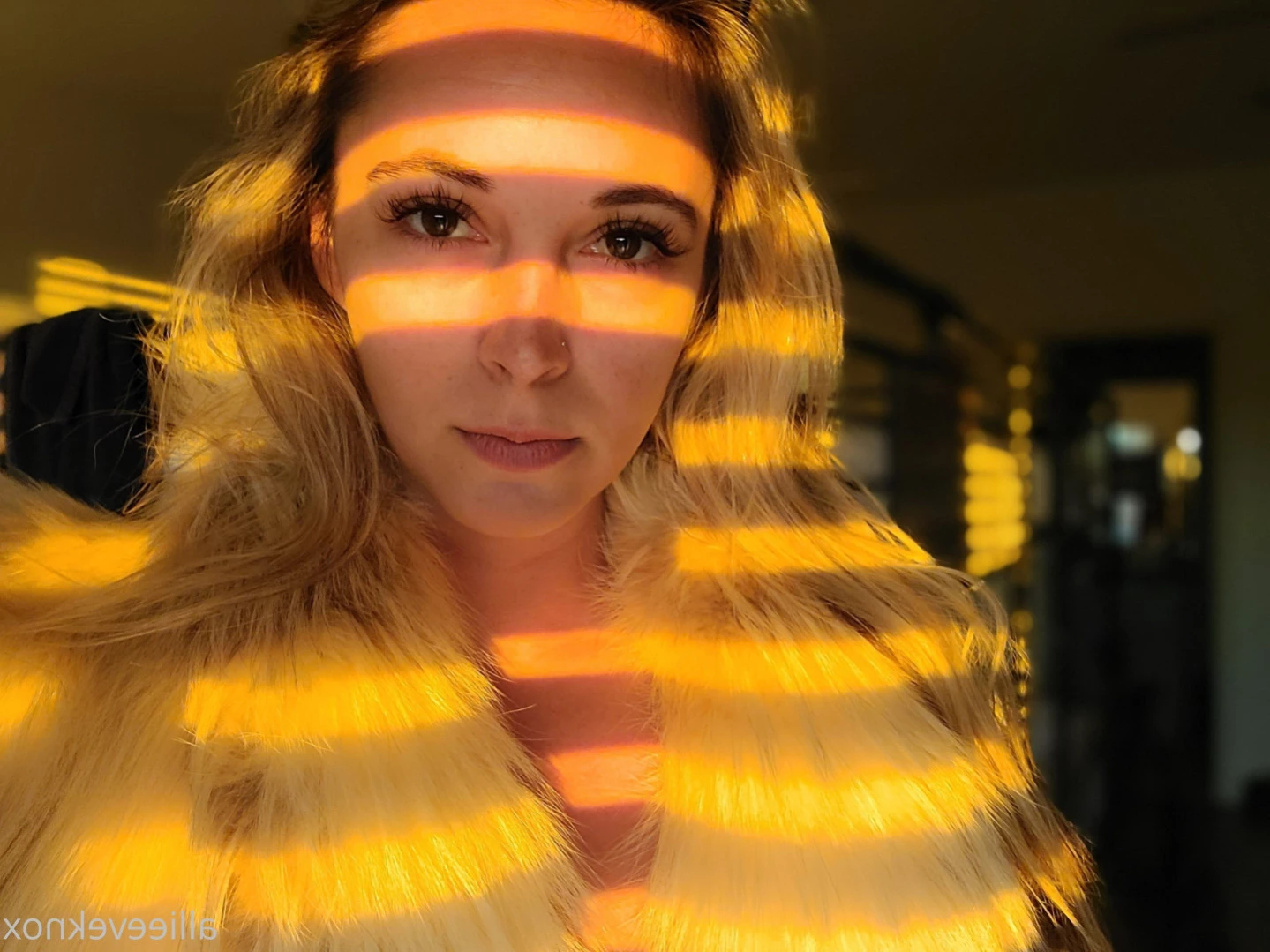 allieeveknox Onlyfans leaked photo 15510246 on Hotleaks.tv