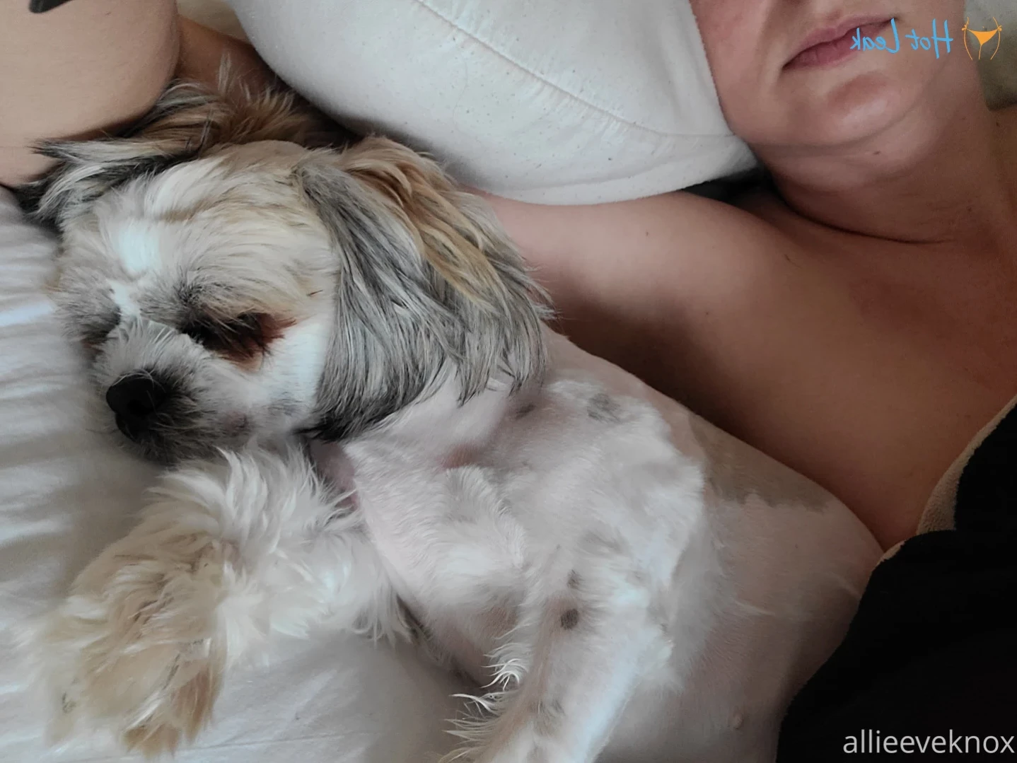 allieeveknox Onlyfans leaked photo 16141982 on Hotleaks.tv
