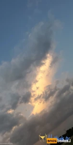 16285670