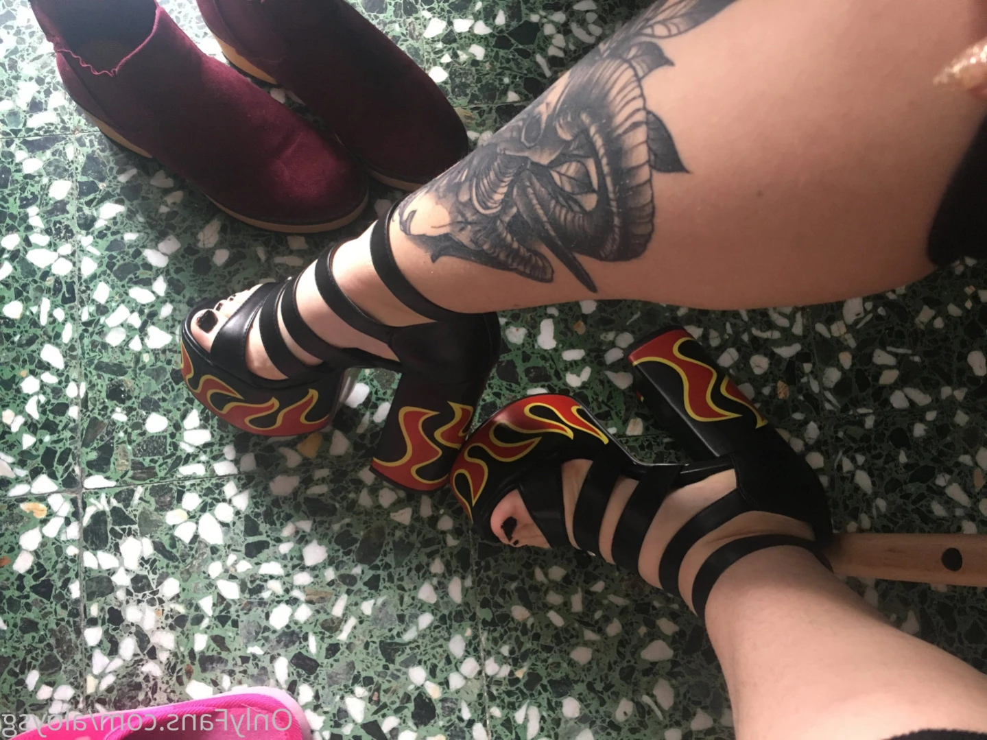 aloysg Onlyfans leaked photo 15726330 on Hotleaks.tv