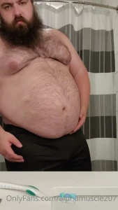 15319271