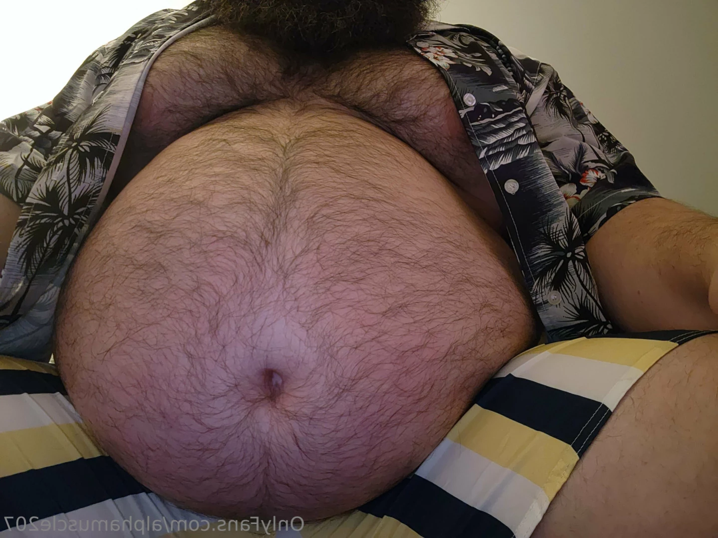 alphamusclegut Onlyfans leaked photo 16095491 on Hotleaks.tv