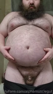 16117729