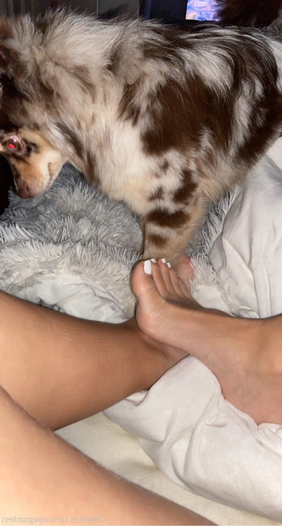 Alyafeets [ alyagoddess ] Onlyfans leaked photo 13951610 on Hotleaks.tv