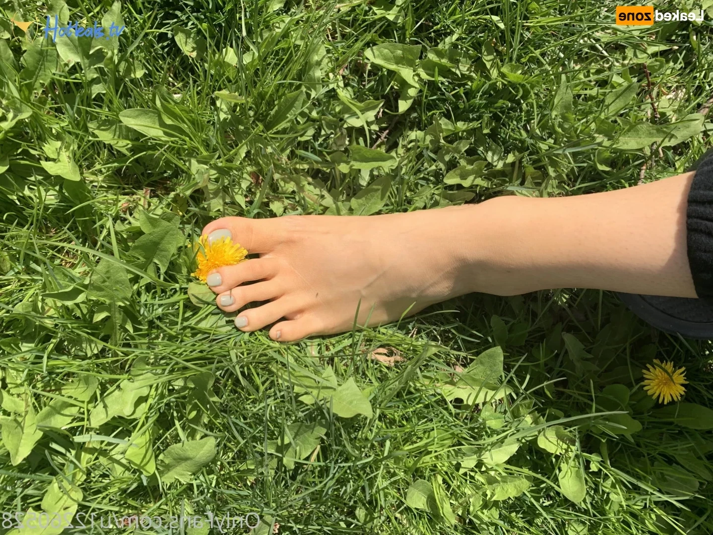amberskyetoesies Onlyfans leaked photo 14231670 on Hotleaks.tv