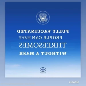 6689017