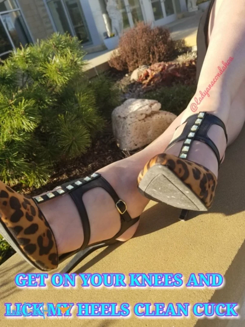 ANACONDA NOIRE [ anacondanoire ] Onlyfans leaked photo 11804325 on Hotleaks.tv