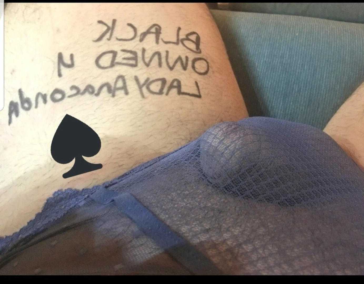 ANACONDA NOIRE [ anacondanoire ] Onlyfans leaked photo 15057514 on Hotleaks.tv